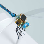 Киборгизацию насекомых упростят оптогенетикой