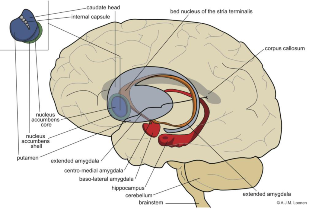 fig_4