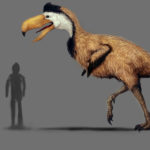 Ученые назвали причину вымирания «птиц ужаса»