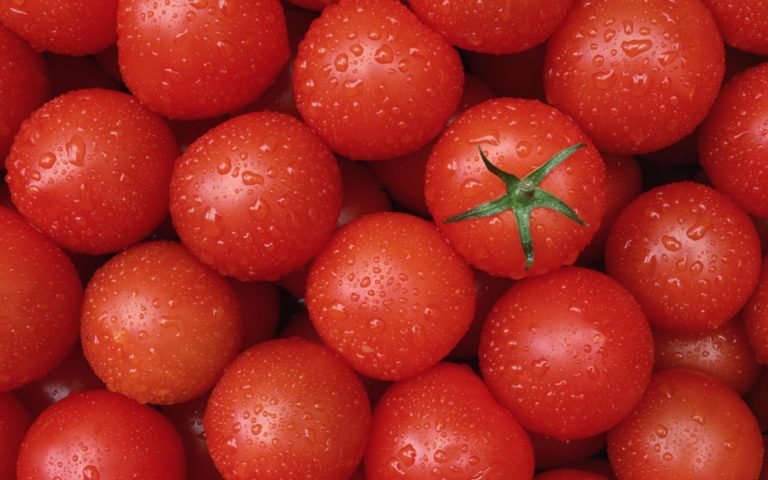 tomato-wallpaper-1