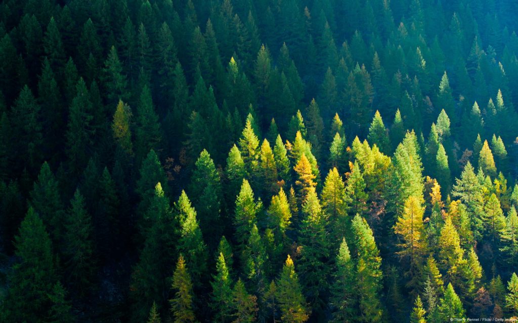 wallpaper-1947195
