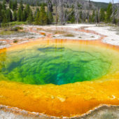 yellowstone-national-park-hot-springs-were-once-blue