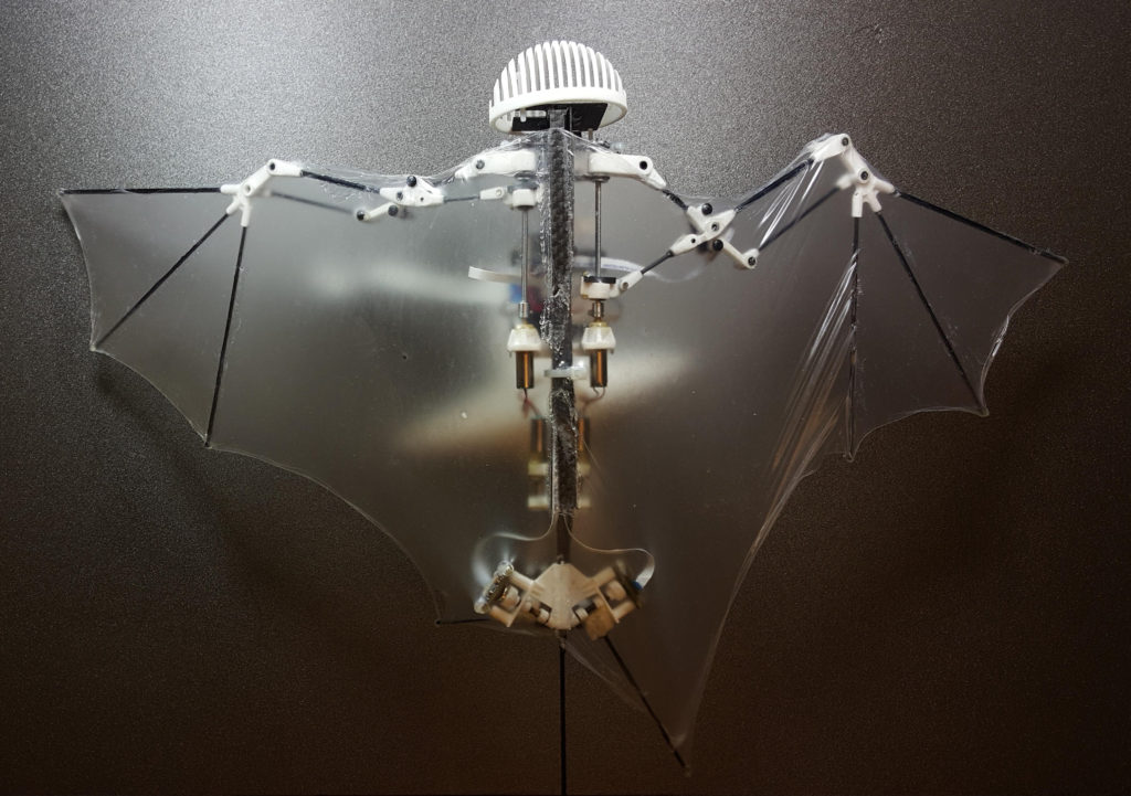 bat-robot