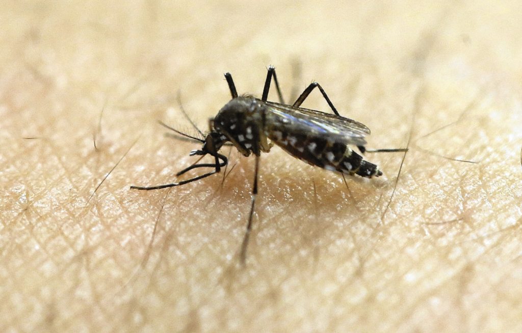 ct-evr-west-nile-virus-tl-0811-20160804