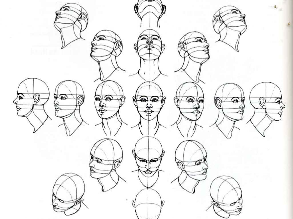 human-face-anatomy-drawing-1000-images-about-anatomy-for-art-faces-on-pinterest-anatomy-9