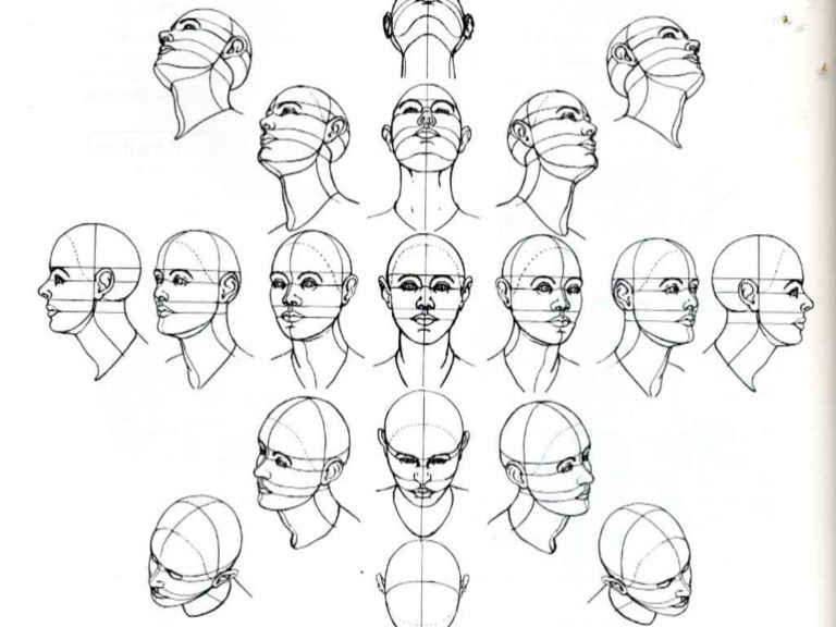 human-face-anatomy-drawing-1000-images-about-anatomy-for-art-faces-on-pinterest-anatomy-9
