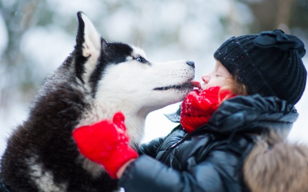 husky_winter_dog_child_mood_love_1680x1050