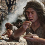 Неандертальцы могли использовать природные антибиотики и аспирин