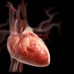 Ученые выяснили, что едят люди, у которых самое здоровое сердце