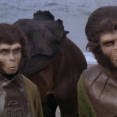 71409-large-planet-of-the-apes-blu-ray10