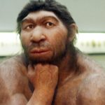Ученые обнаружили новый источник ДНК древних людей