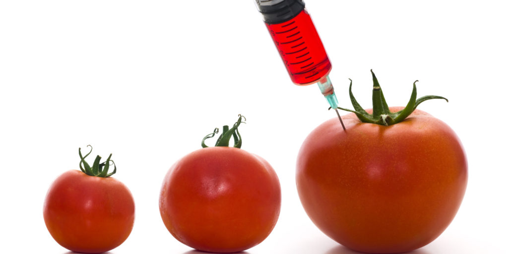 tomatoes