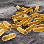 Ученые узнали, как «нюхают» бактерии
