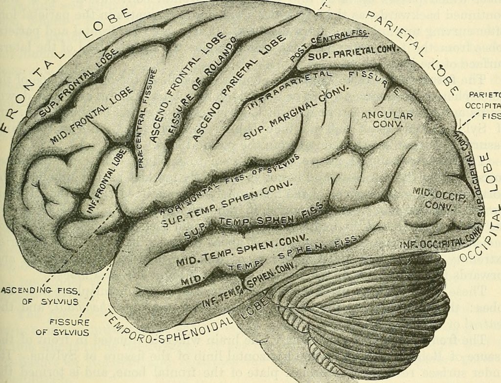 14578530517_88a33d160f_o