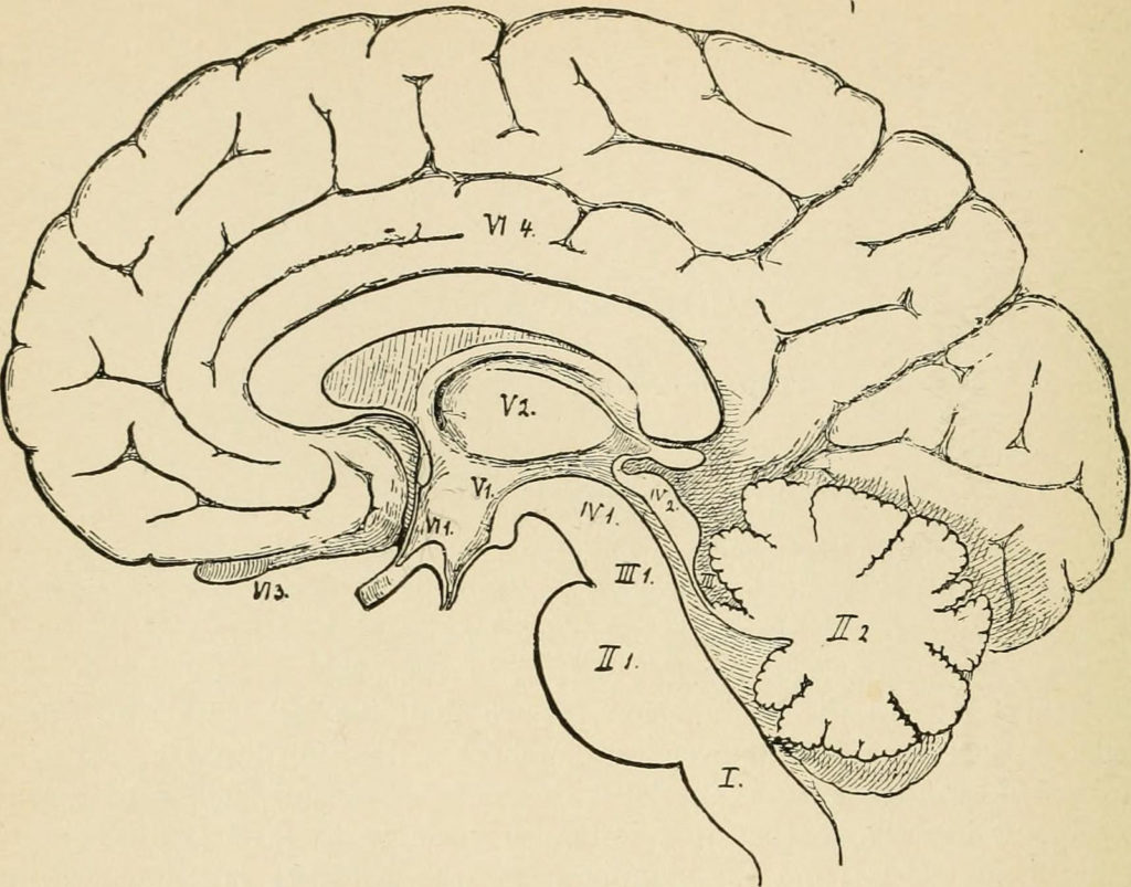 14770191352_50c0cd9d02_h