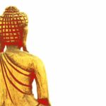 Опрос буддистов выявил вред медитации