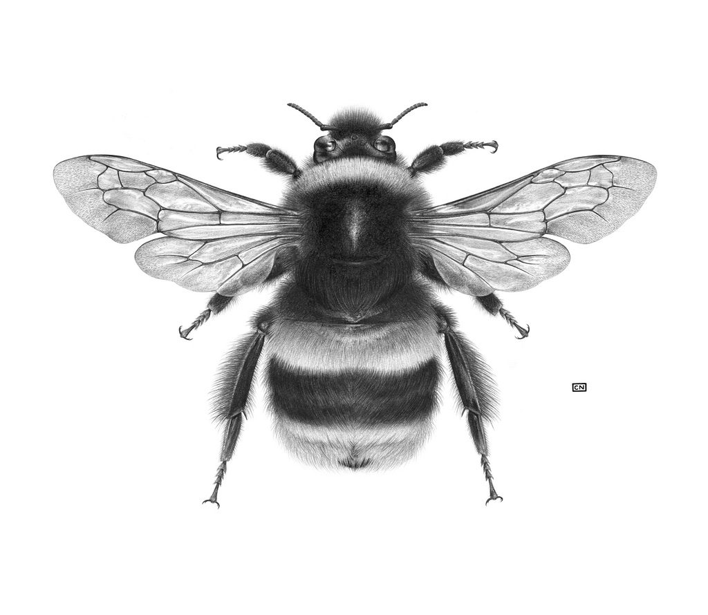 9455585435_ef1b6e1de4_b