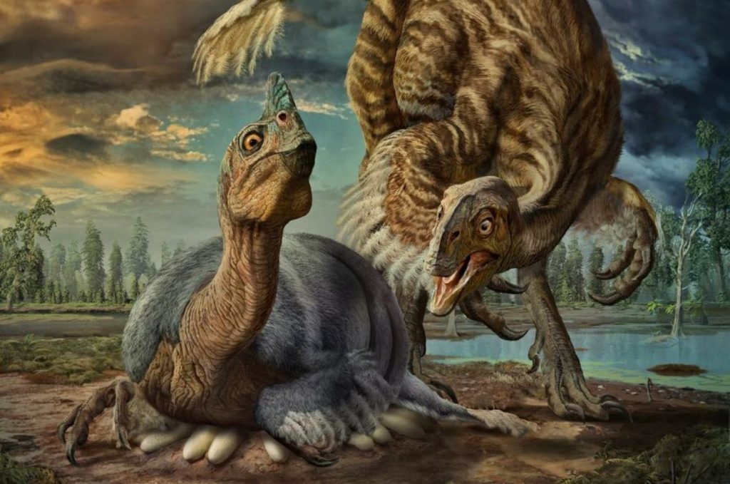 dinosaur-c67f4698-34db-11e7-b4ee-434b6d506b37_uhrt3fq_t1170