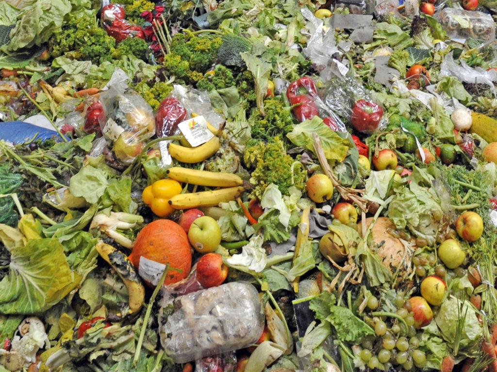 food-waste1