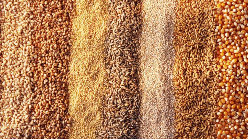 grain