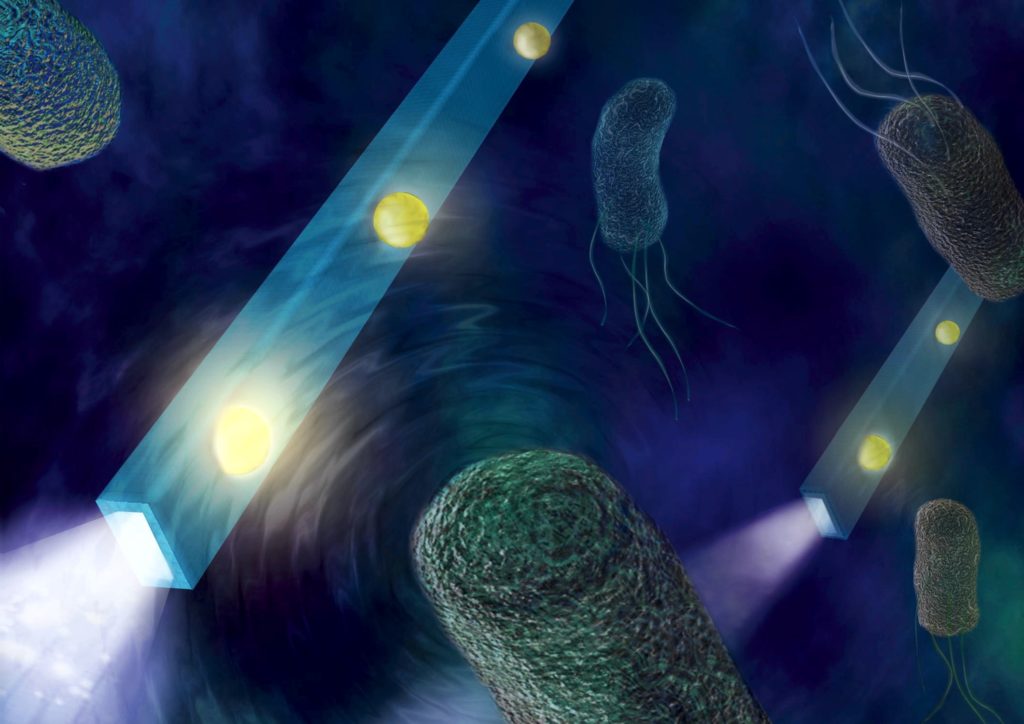 nanofiberfee