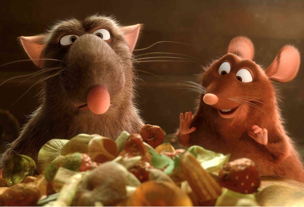 rats