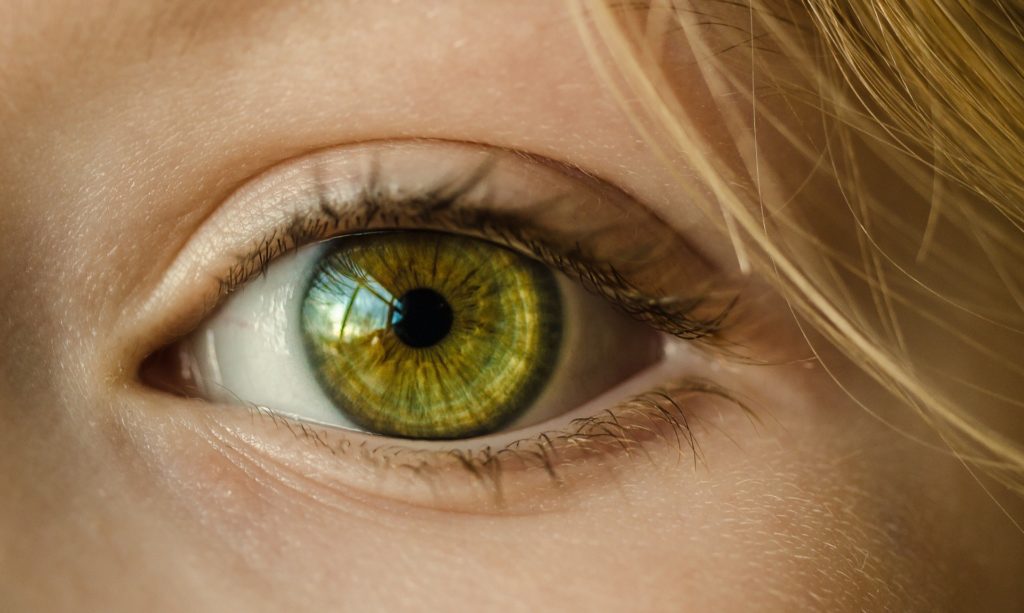 retina_1