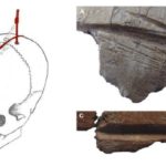В Турции нашли свидетельства неолитического культа черепов
