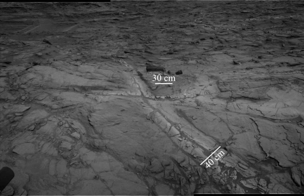 halo_navcam_image