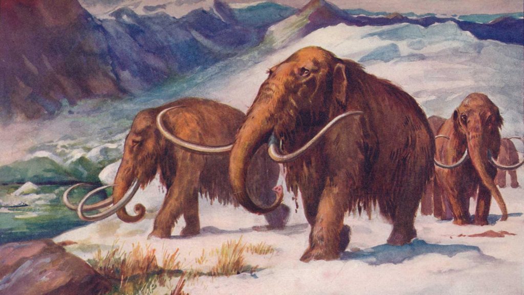a_mach_mammoth_170208