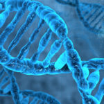 Солнцезащитный крем на основе ДНК научили эволюционировать