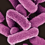 Ученые предупредили об опасности неправильного приема антибиотиков