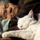 japanese-grandma-and-cat-sleeping