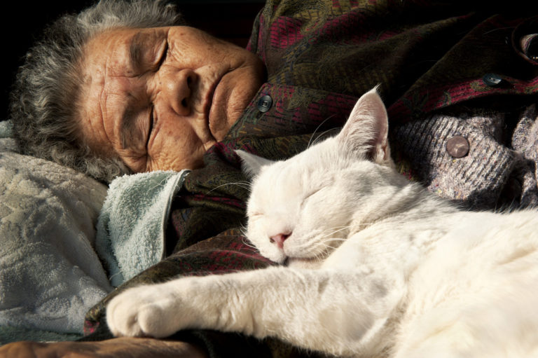 japanese-grandma-and-cat-sleeping