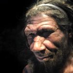 ДНК неандертальцев указала на раннее скрещивание с людьми