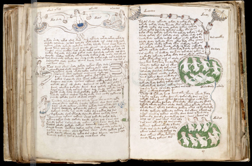 voynich
