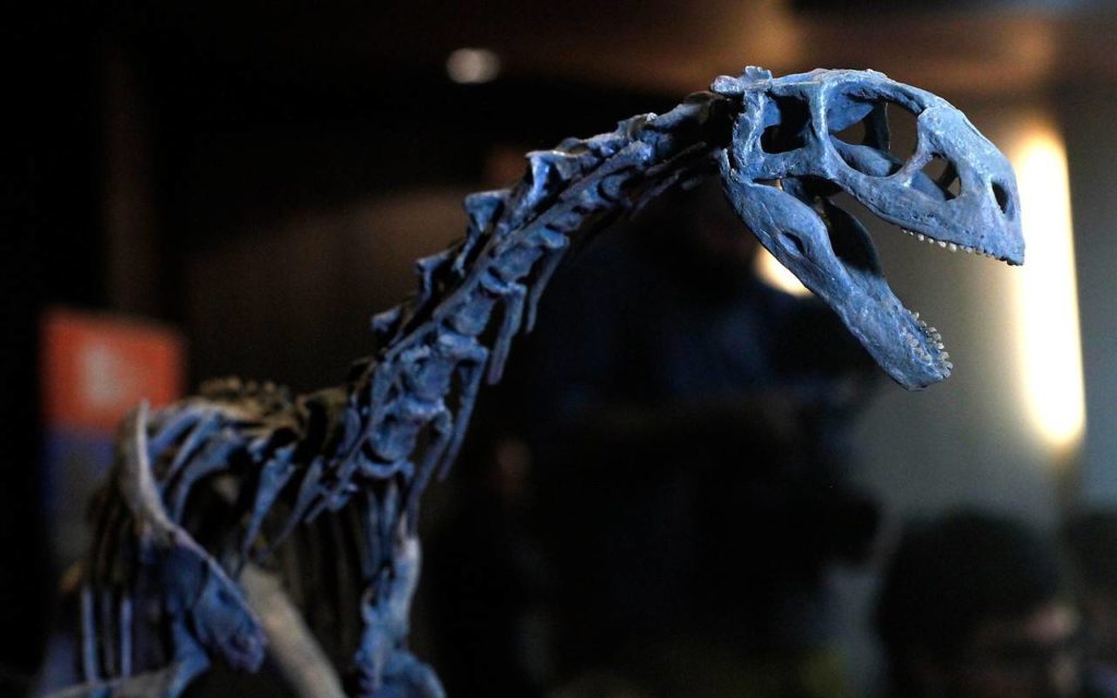 chilesaurus