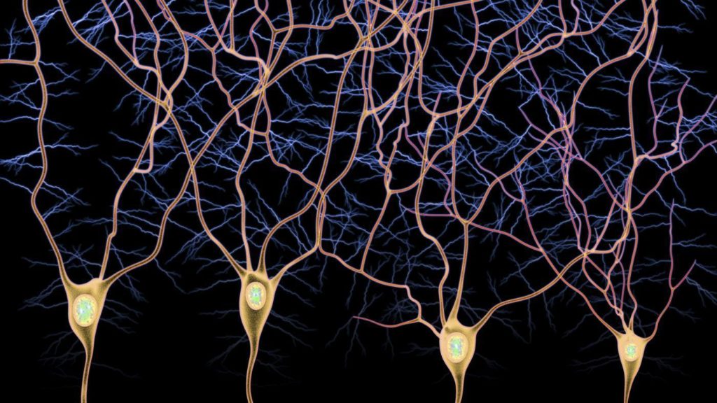 neurons-0