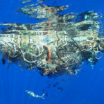 В Тихом океане нашли новый «мусорный континент»