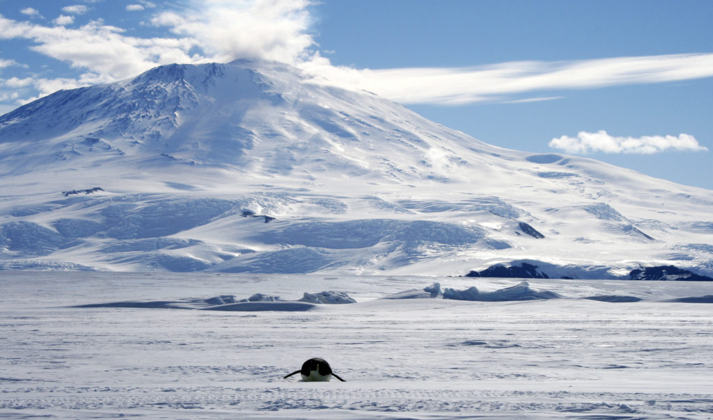 volcanoantarctica