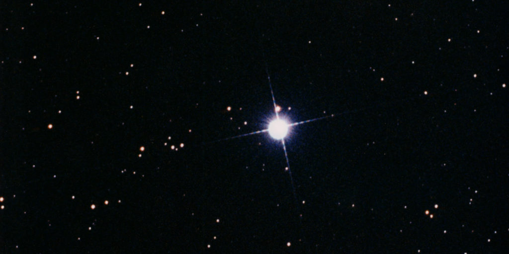 regulus