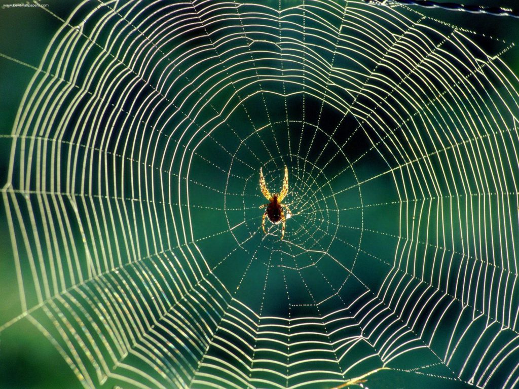 web