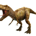 Передние лапы тираннозавров могли разрубать противника