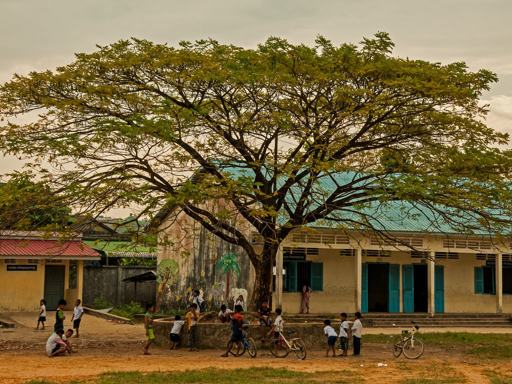 tree