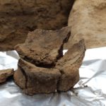 Археологи нашли древнейшее виноградное вино, созданное 8 тысяч лет назад