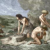 agriculture-in-the-neolithic-era-sheila-terry