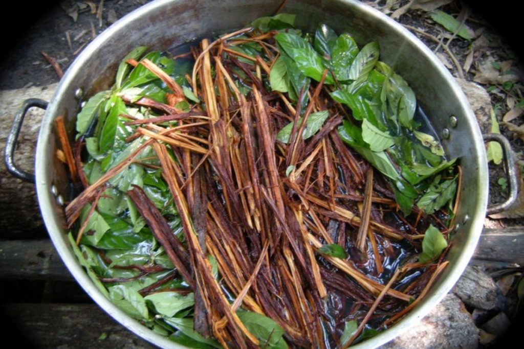azahuaska