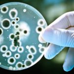 Ученые подавили передачу генов устойчивости к антибиотикам между бактериями
