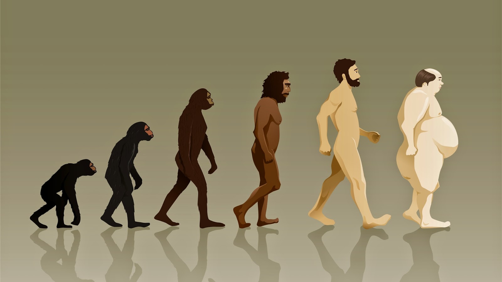 human-evolution-wide