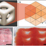 3D-принтер впервые напечатал мягкие ткани с помощью «быстрой заморозки»